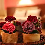 Hotel Bilgin Kas
